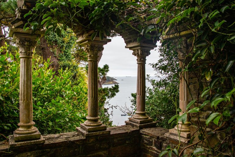 st mawes view through green plants